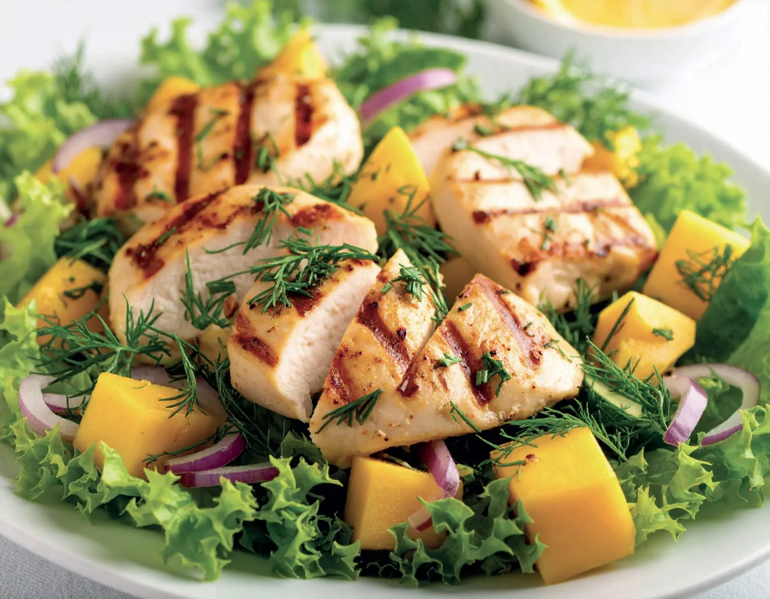 Firefly_grilled-chicken-on-a-salad-of-fennel,-mango-and-onion-824415